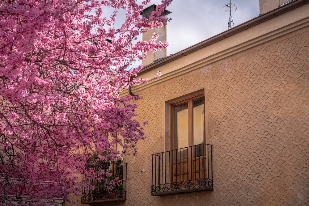 kwitnąca wiśnia obok balkonu domu 