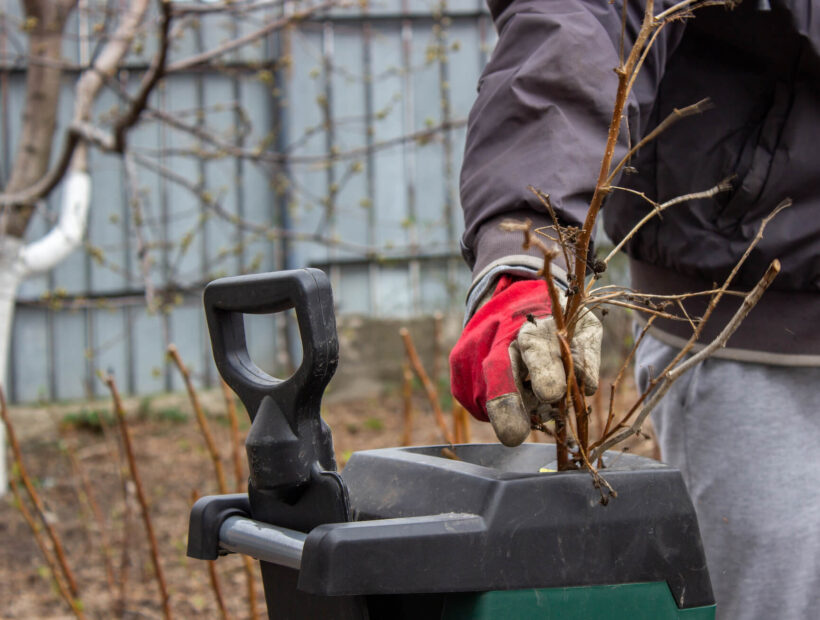 Jaki rozdrabniacz do gałęzi? Poradnik